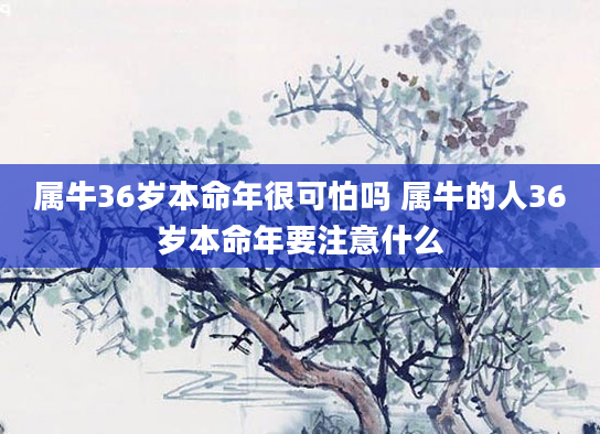属牛36岁本命年很可怕吗 属牛的人36岁本命年要注意什么