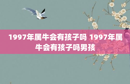 1997年属牛会有孩子吗 1997年属牛会有孩子吗男孩
