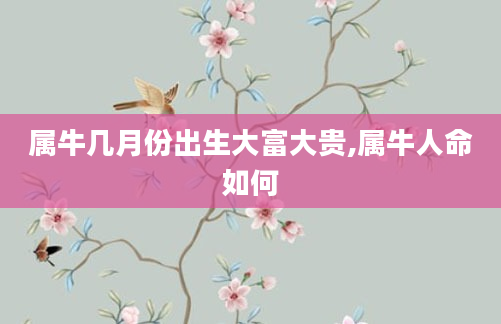 属牛几月份出生大富大贵,属牛人命如何