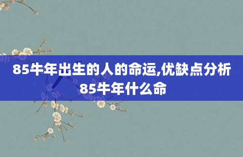 85牛年出生的人的命运,优缺点分析 85牛年什么命