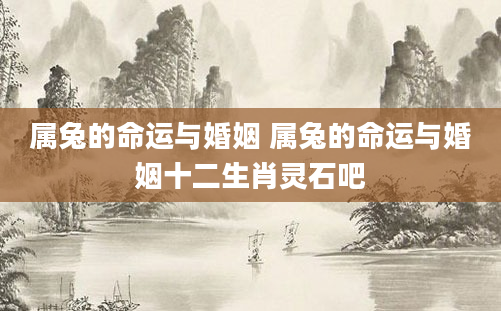 属兔的命运与婚姻 属兔的命运与婚姻十二生肖灵石吧