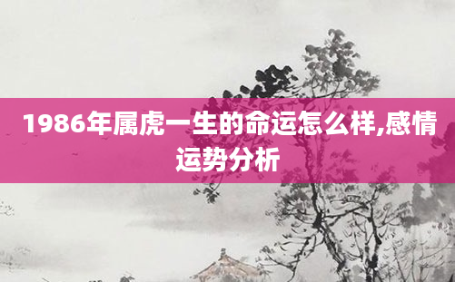 1986年属虎一生的命运怎么样,感情运势分析