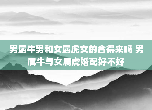 男属牛男和女属虎女的合得来吗 男属牛与女属虎婚配好不好