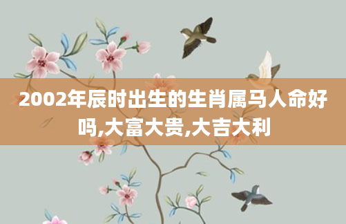 2002年辰时出生的生肖属马人命好吗,大富大贵,大吉大利
