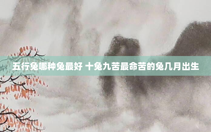 五行兔哪种兔最好 十兔九苦最命苦的兔几月出生