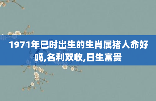 1971年巳时出生的生肖属猪人命好吗,名利双收,日生富贵