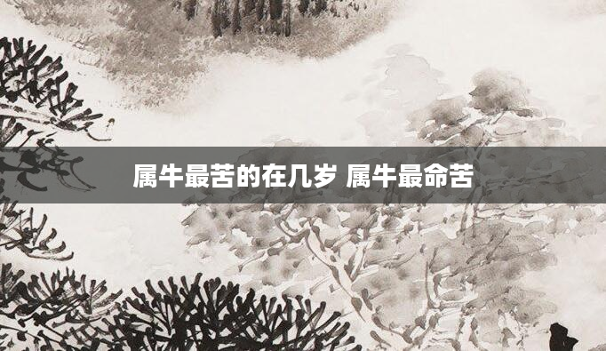属牛最苦的在几岁 属牛最命苦