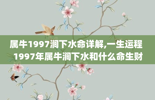 属牛1997涧下水命详解,一生运程 1997年属牛涧下水和什么命生财
