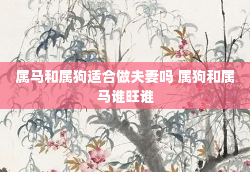 属马和属狗适合做夫妻吗 属狗和属马谁旺谁