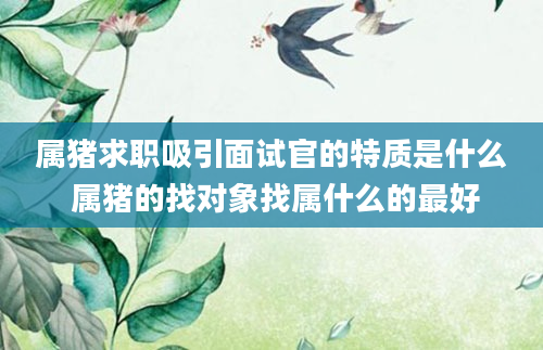 属猪求职吸引面试官的特质是什么 属猪的找对象找属什么的最好