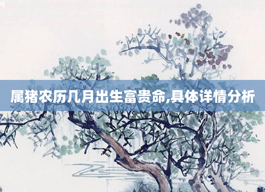 属猪农历几月出生富贵命,具体详情分析