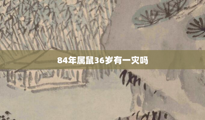 84年属鼠36岁有一灾吗