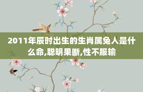 2011年辰时出生的生肖属兔人是什么命,聪明果断,性不服输