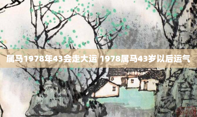 属马1978年43会走大运 1978属马43岁以后运气