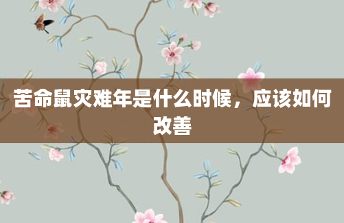 苦命鼠灾难年是什么时候，应该如何改善