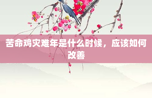 苦命鸡灾难年是什么时候，应该如何改善