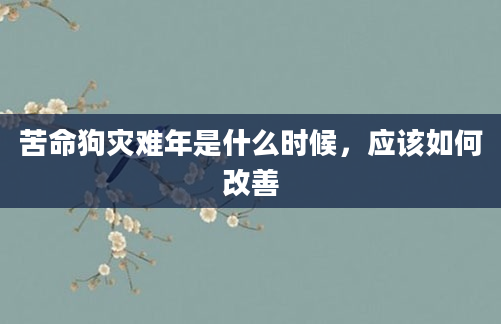 苦命狗灾难年是什么时候，应该如何改善