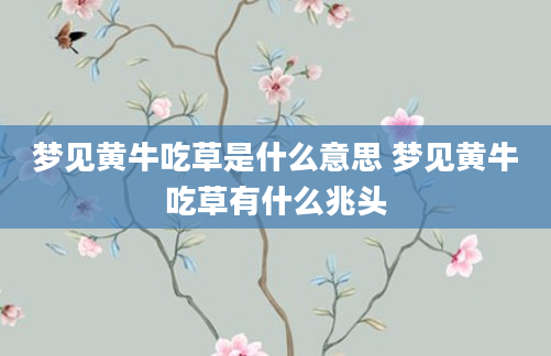 梦见黄牛吃草是什么意思 梦见黄牛吃草有什么兆头