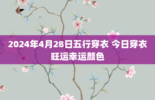 2024年4月28日五行穿衣 今日穿衣旺运幸运颜色