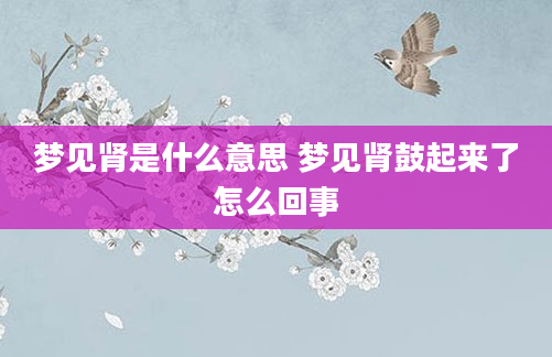 梦见肾是什么意思 梦见肾鼓起来了怎么回事
