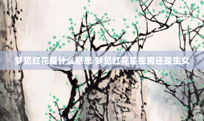 梦见红花是什么意思 梦见红花是生男还是生女