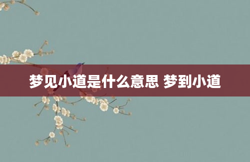梦见小道是什么意思 梦到小道