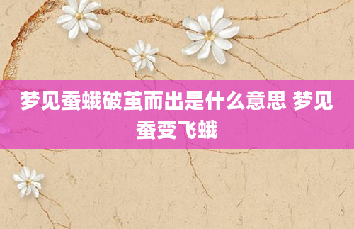 梦见蚕蛾破茧而出是什么意思 梦见蚕变飞蛾