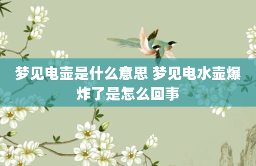 梦见电壶是什么意思 梦见电水壶爆炸了是怎么回事