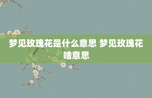 梦见玫瑰花是什么意思 梦见玫瑰花啥意思