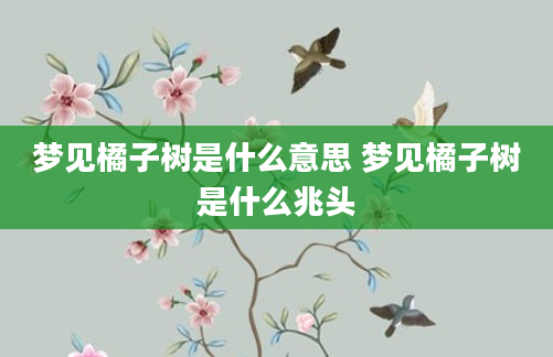 梦见橘子树是什么意思 梦见橘子树是什么兆头