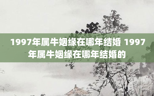 1997年属牛姻缘在哪年结婚 1997年属牛姻缘在哪年结婚的