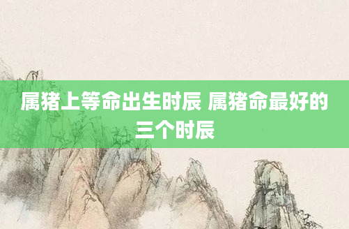 属猪上等命出生时辰 属猪命最好的三个时辰