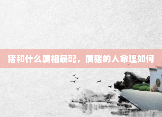 猪和什么属相最配，属猪的人命理如何