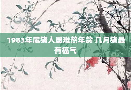1983年属猪人最难熬年龄 几月猪最有福气