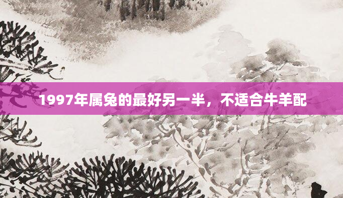1997年属兔的最好另一半，不适合牛羊配