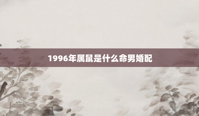 1996年属鼠是什么命男婚配