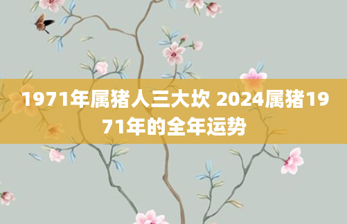 1971年属猪人三大坎 2024属猪1971年的全年运势