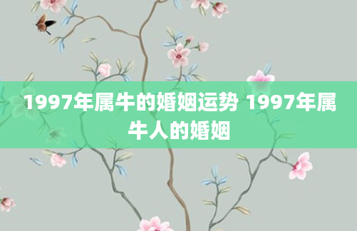 1997年属牛的婚姻运势 1997年属牛人的婚姻
