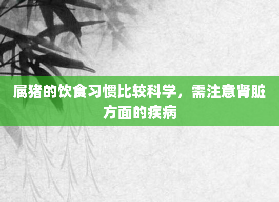属猪的饮食习惯比较科学，需注意肾脏方面的疾病