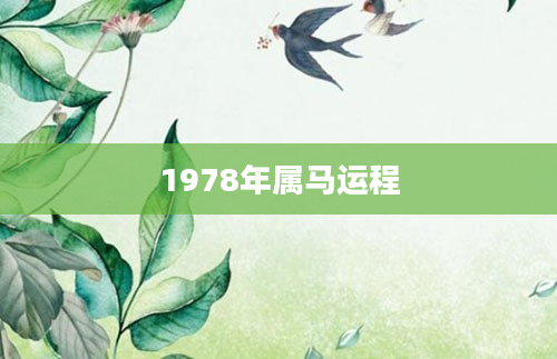1978年属马运程