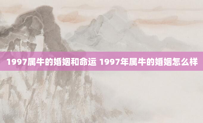 1997属牛的婚姻和命运 1997年属牛的婚姻怎么样