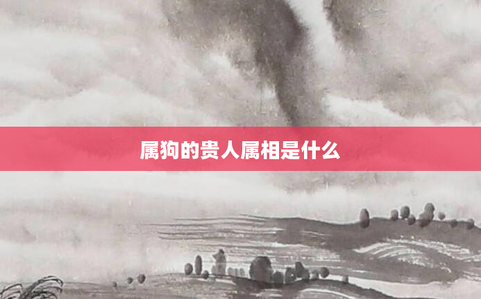 属狗的贵人属相是什么