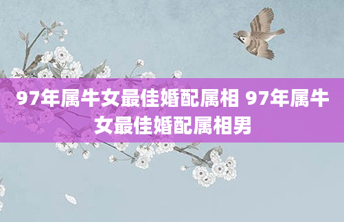97年属牛女最佳婚配属相 97年属牛女最佳婚配属相男