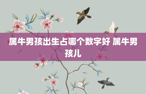 属牛男孩出生占哪个数字好 属牛男孩儿