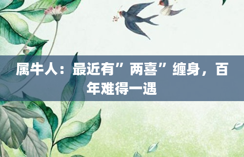 属牛人：最近有”两喜”缠身，百年难得一遇