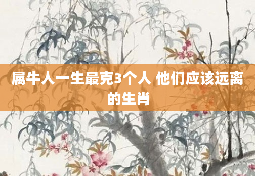属牛人一生最克3个人 他们应该远离的生肖