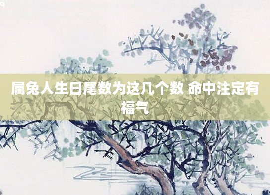 属兔人生日尾数为这几个数 命中注定有福气