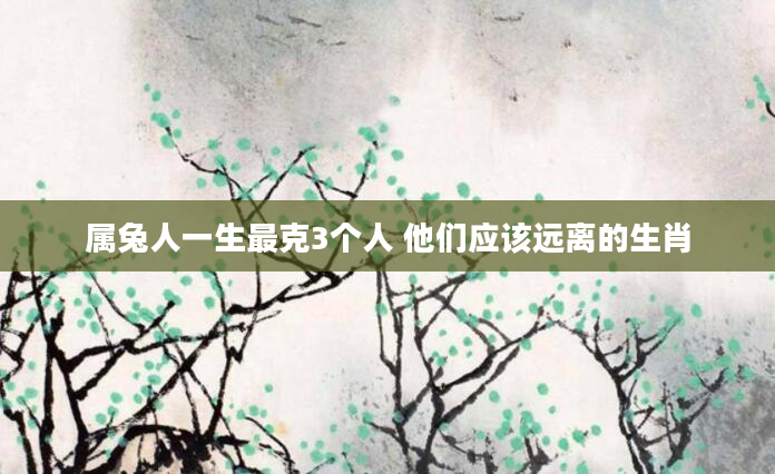 属兔人一生最克3个人 他们应该远离的生肖