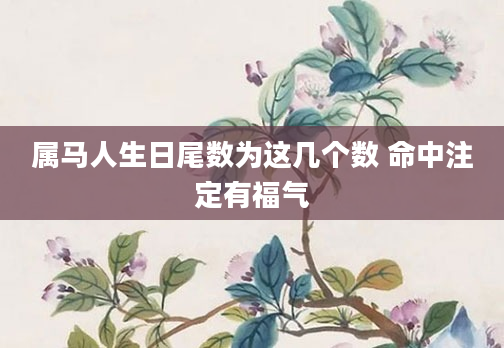 属马人生日尾数为这几个数 命中注定有福气