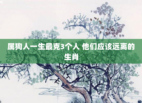 属狗人一生最克3个人 他们应该远离的生肖